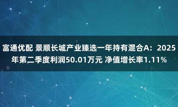 富通优配 景顺长城产业臻选一年持有混合A：2025年第二季度利润50.01万元 净值增长率1.11%